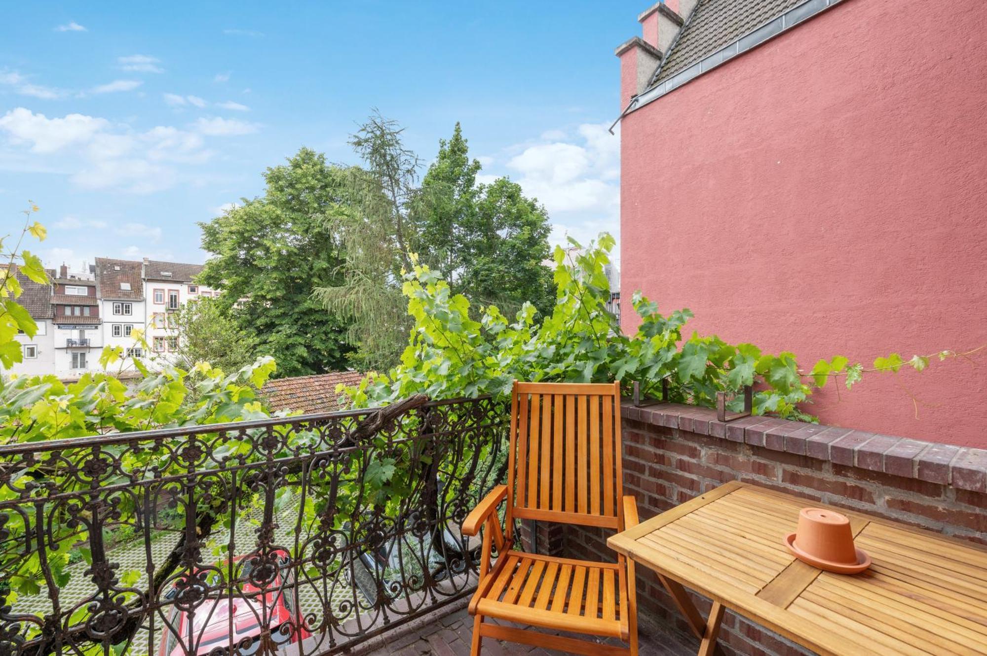 Apartment Grosse Altbau I Terrasse I Zentral I Parkplatz I 8 Personen Bad Kreuznach